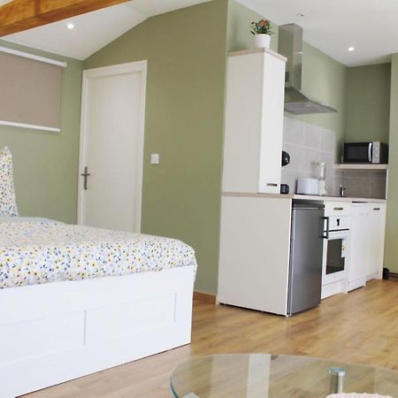 Saint Etienne : Appartement Chateaucreux 40 M2 Bagian luar foto