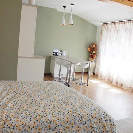 Saint Etienne : Appartement Chateaucreux 40 M2 Bagian luar foto