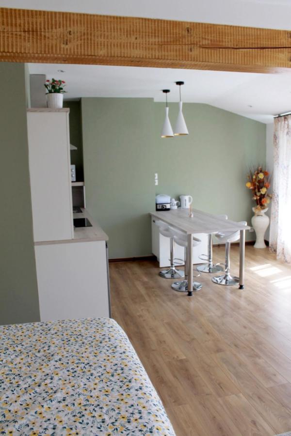 Saint Etienne : Appartement Chateaucreux 40 M2 Bagian luar foto
