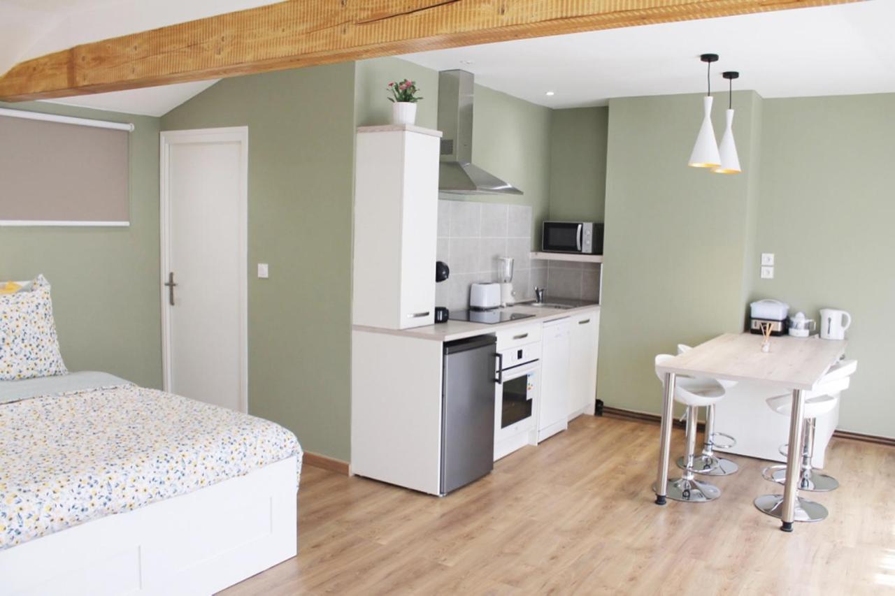 Saint Etienne : Appartement Chateaucreux 40 M2 Bagian luar foto