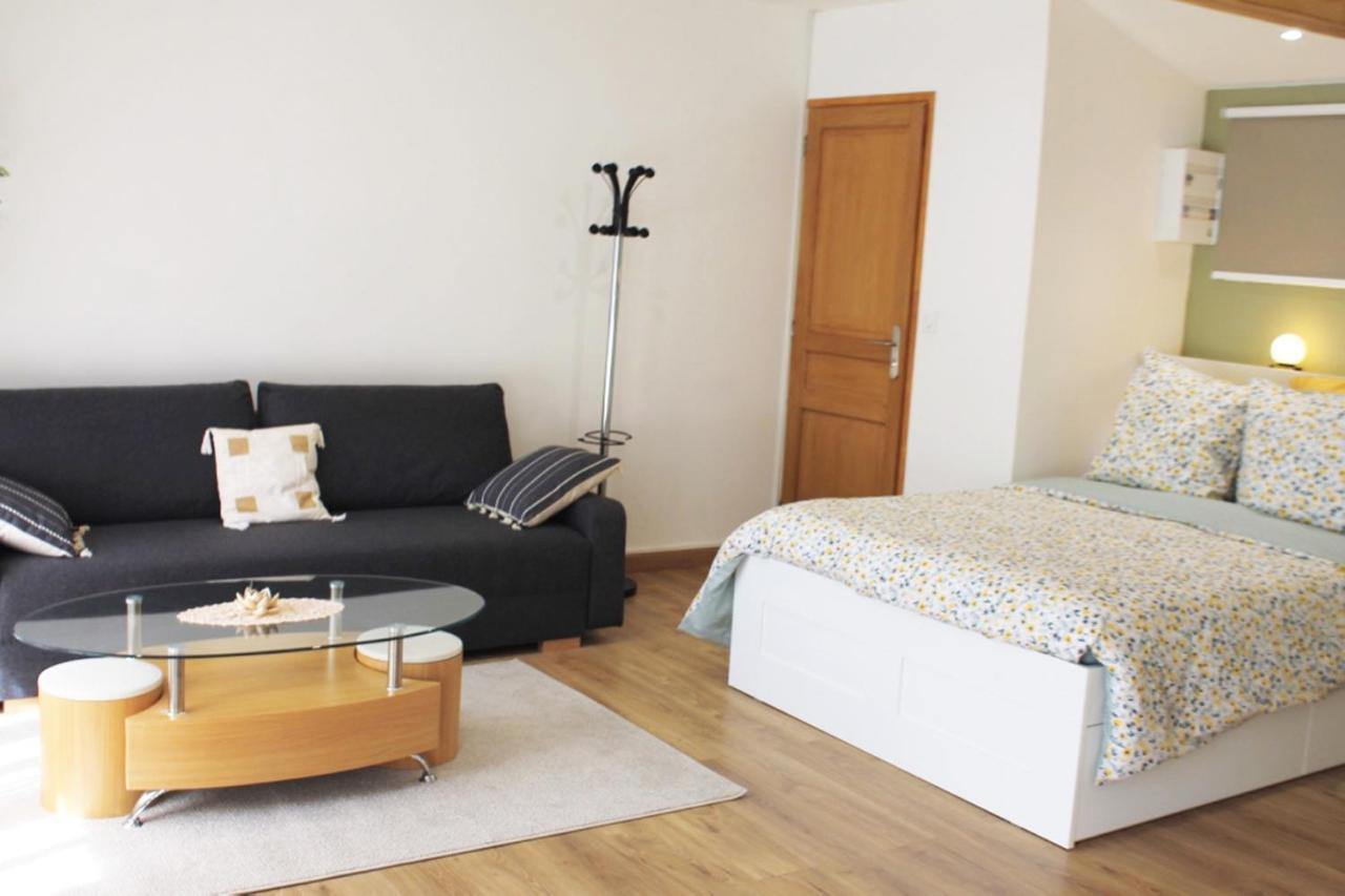 Saint Etienne : Appartement Chateaucreux 40 M2 Bagian luar foto