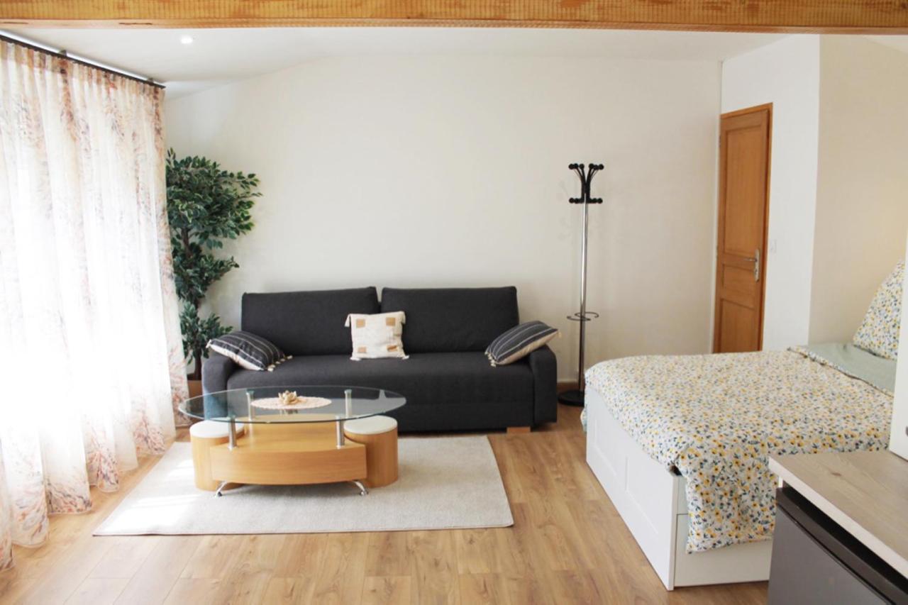 Saint Etienne : Appartement Chateaucreux 40 M2 Bagian luar foto